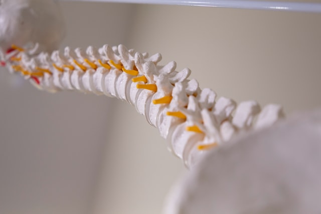 Herniated Disc Treatment Bolton